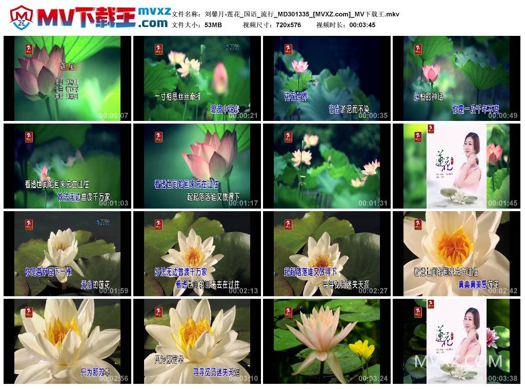 刘馨月-莲花_国语_流行_MD301335